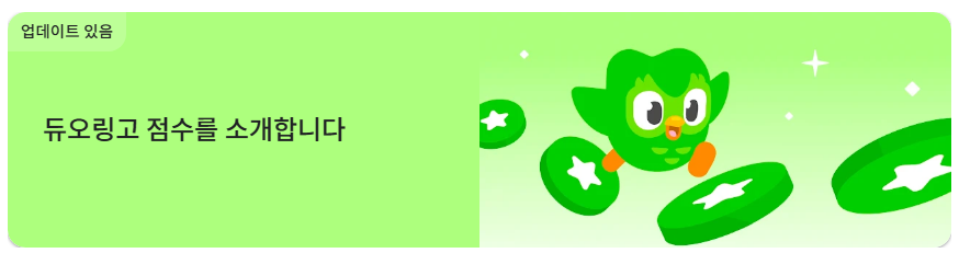듀오링고 Duolingo 무료 언어 학습 앱, 외국어 어휘와 어법, 실생활 회화 배우기