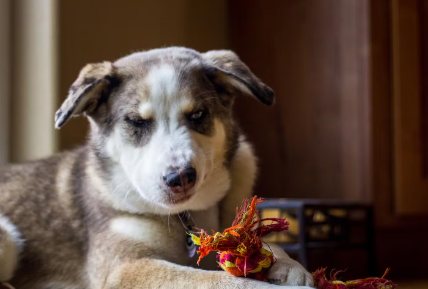 역재채기 대처법.
