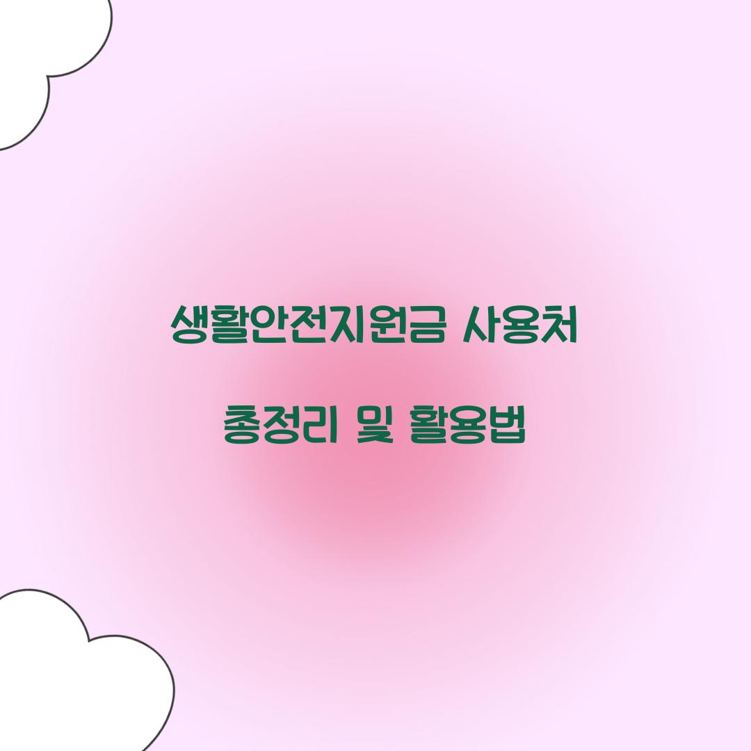 생활안전지원금 사용처