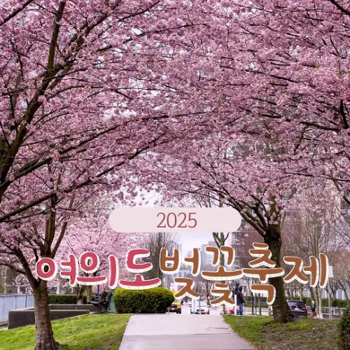 2025 여의도 벚꽃축제