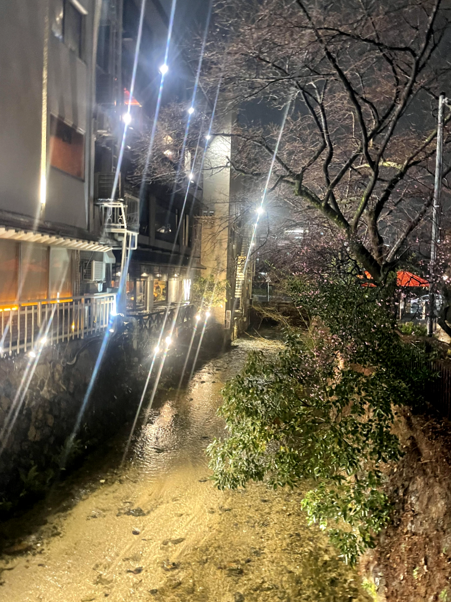 시라카와 길 주변3