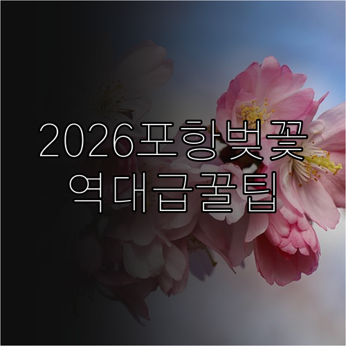 포항 벚꽃 명소 추천 2026년 개화..