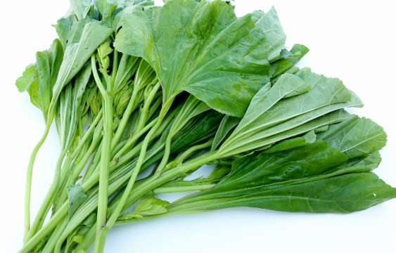 아욱국 끓이는 법