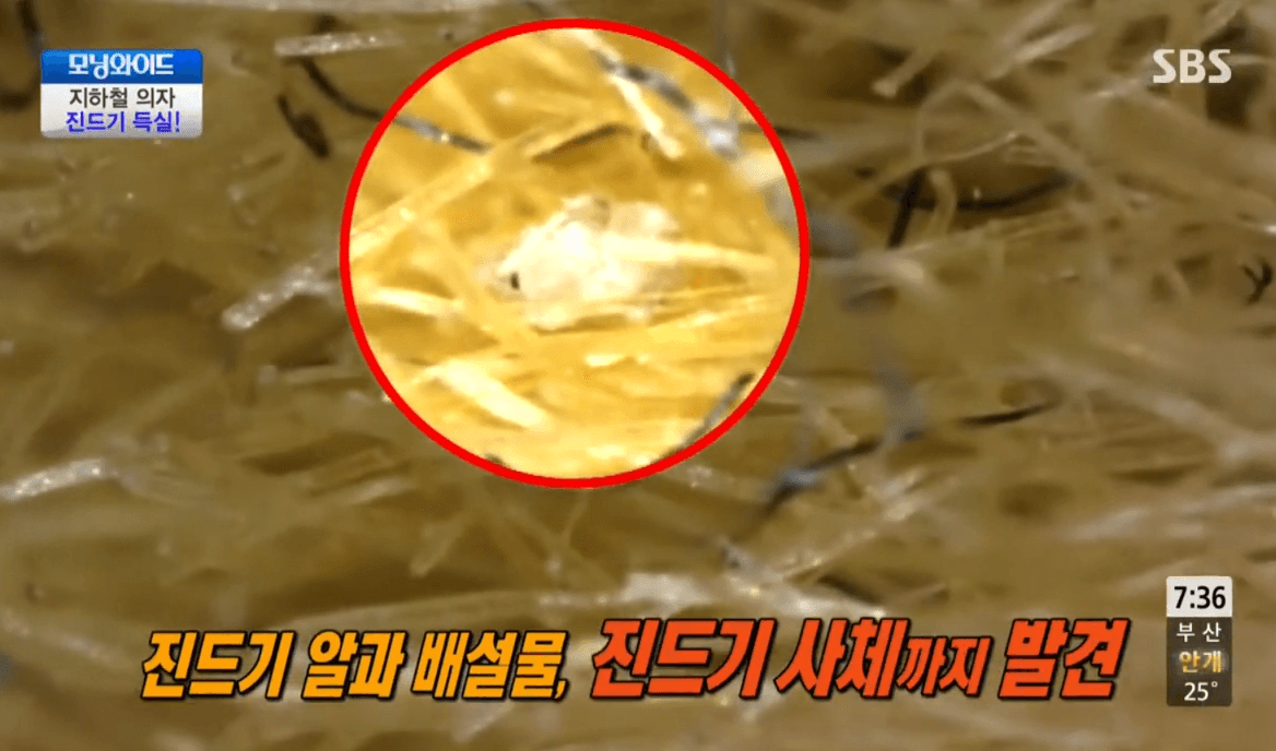 2013년 방영된 SBS모닝와이드 지하철의자위생보도자료-3