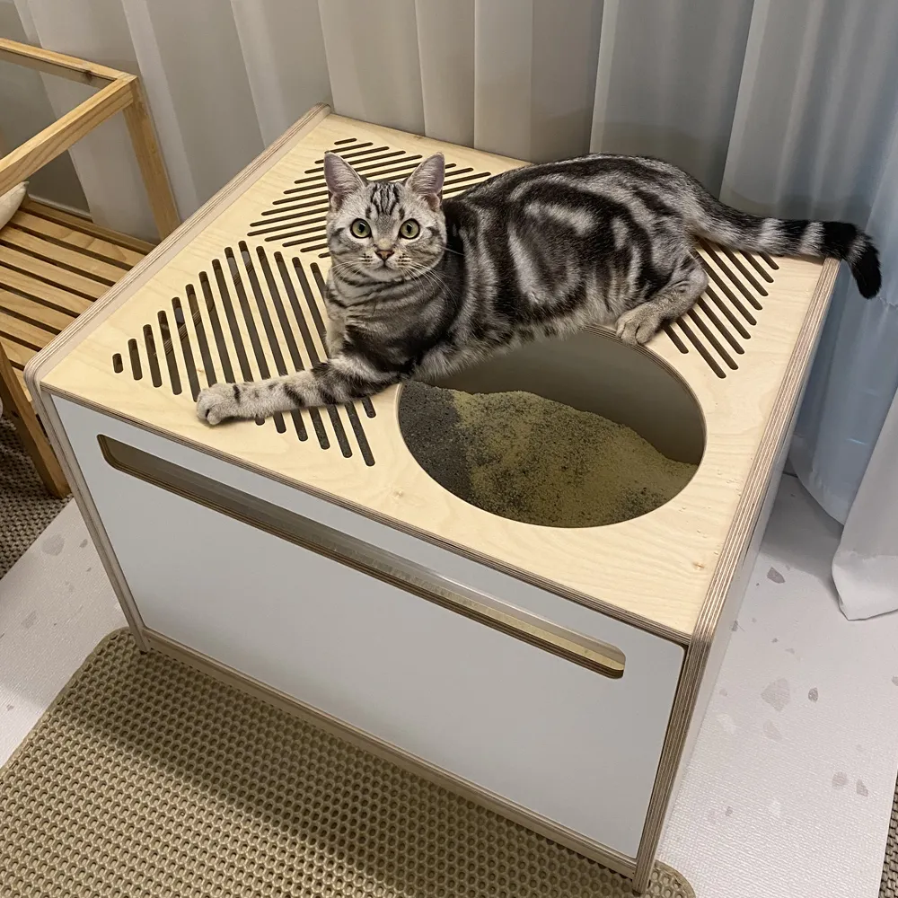 고양이 화장실 크기 대형 자동화장실 추천_9