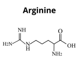 아르기닌 부작용, 아르기닌의 효능, 복용법 총정리 (2025ver)