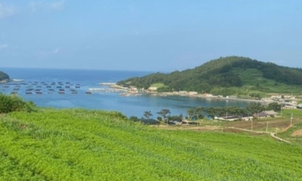완도 청산도