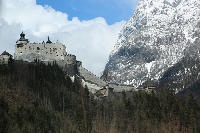 웡 카와이 사진