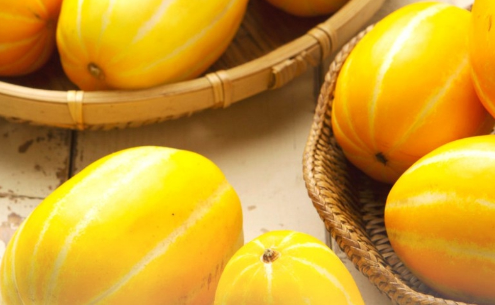 참외 효능 부작용