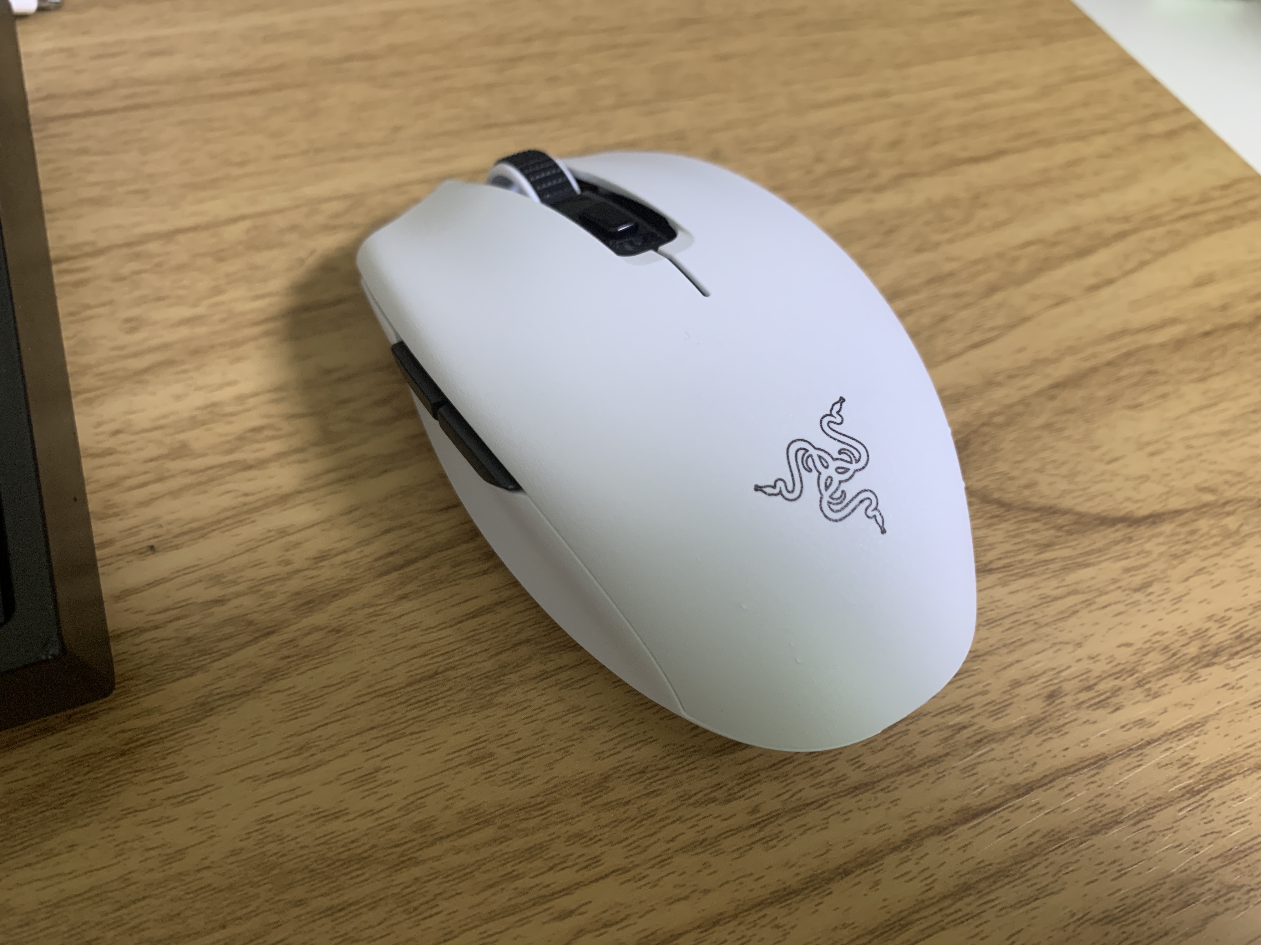 오로치 마우스 사진