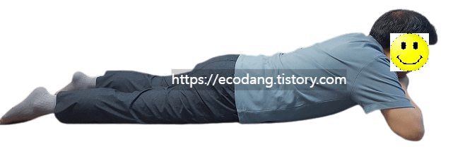 엎드려서 하는 맥켄지 신전 동작 2단계