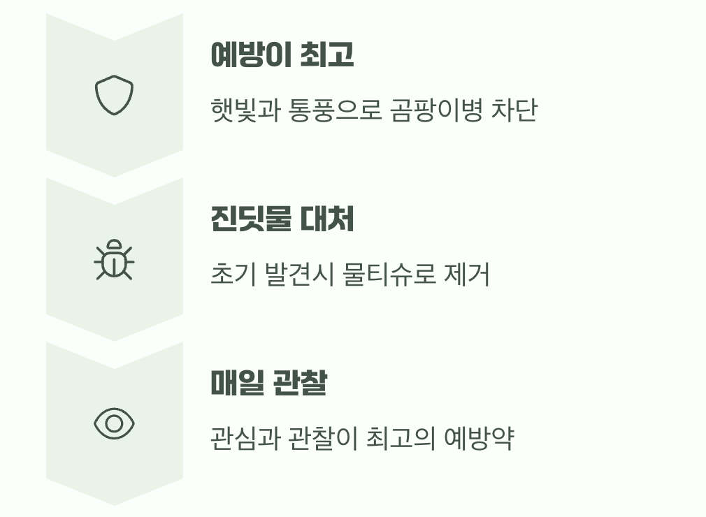 불청객과의 전쟁, 병충해 관리