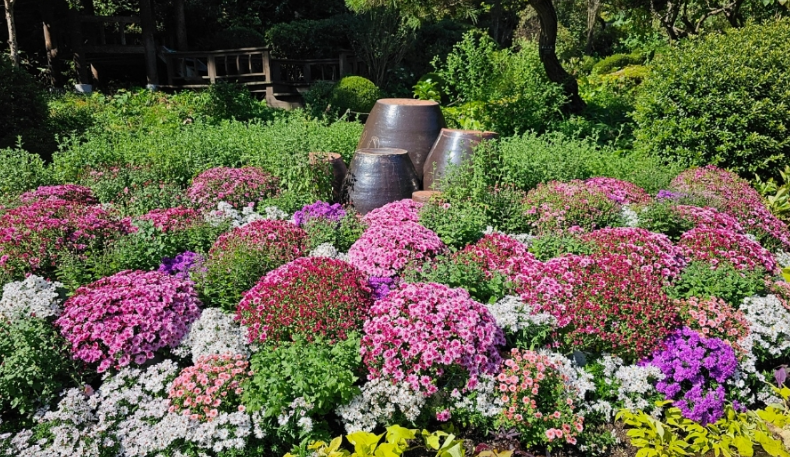 아침고요수목원