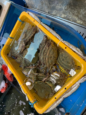 여수 가볼만한 곳 추천 관광지 여수 수산시장