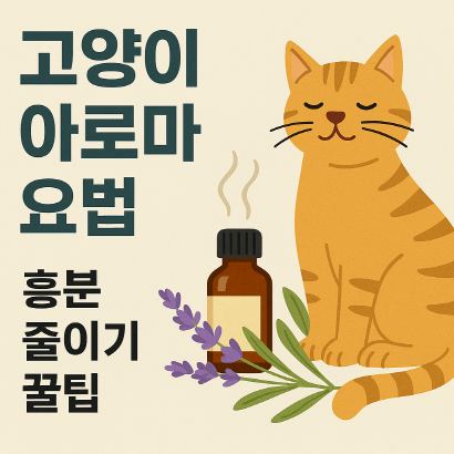 고양이 아로마 요법 : 흥분 상태 줄이는 향기 진정 비법 총정리
