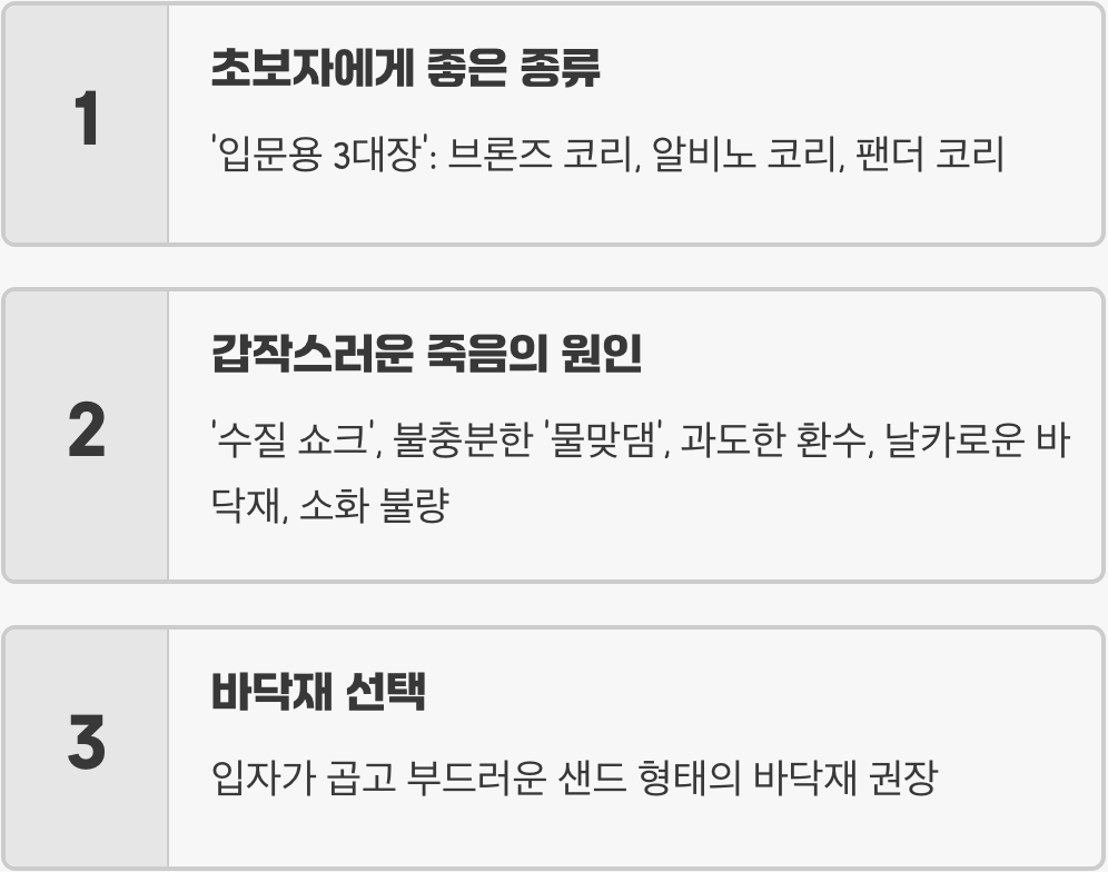 어항의 청소부, 코리도라스가 최고의 입문 어종인 이유