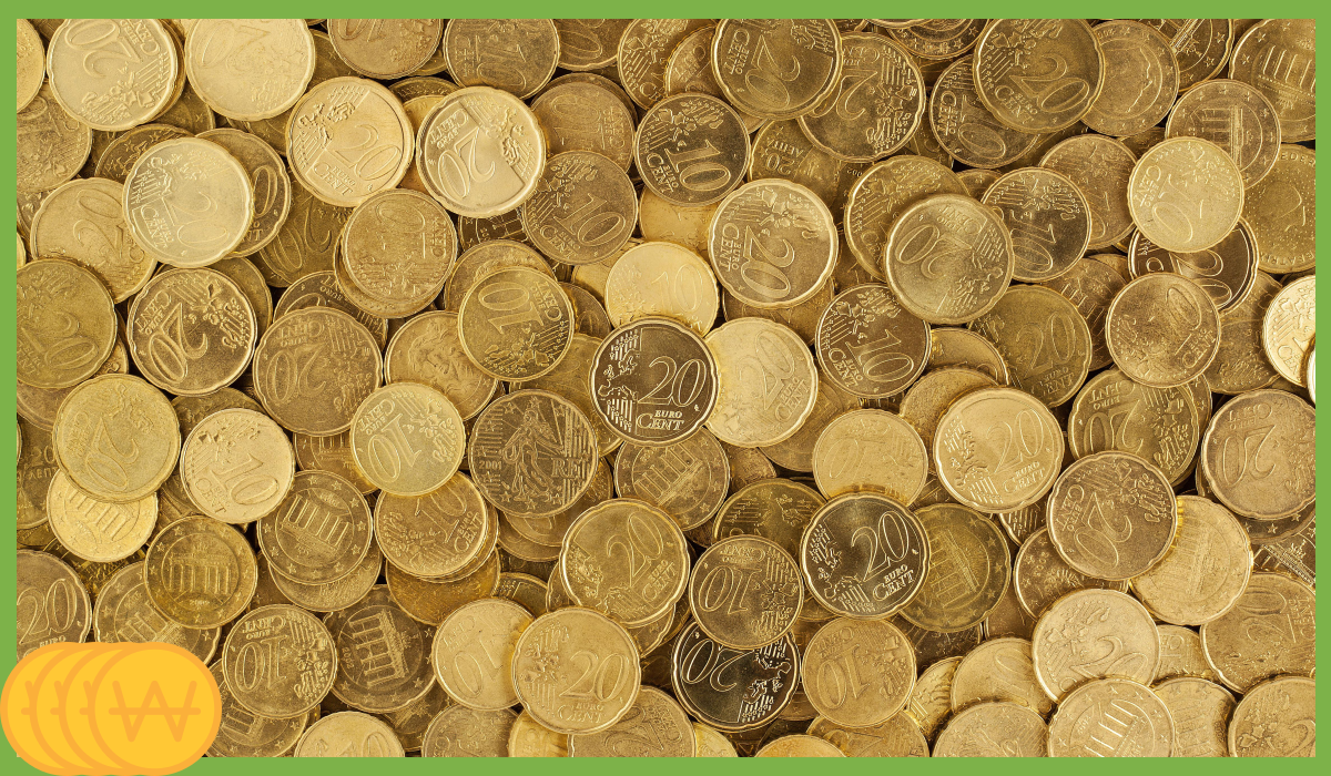 K패스 교통카드