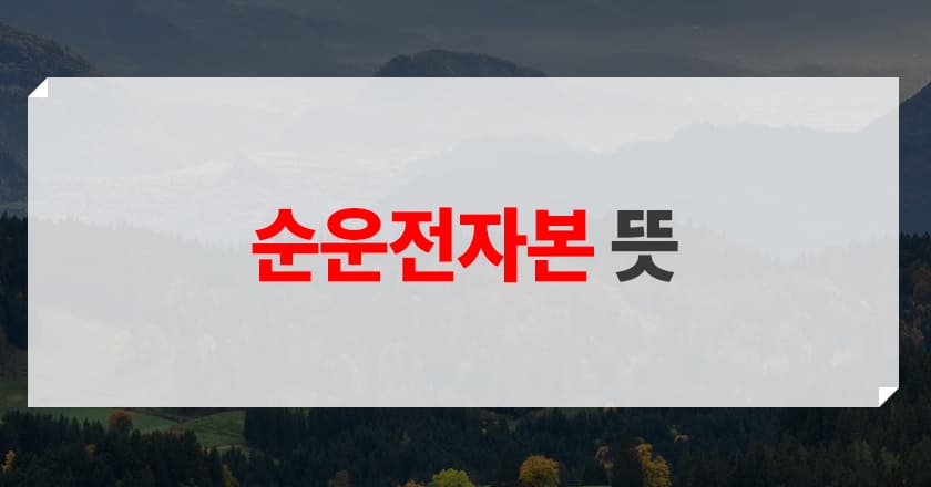 순운전자본 세부 개념