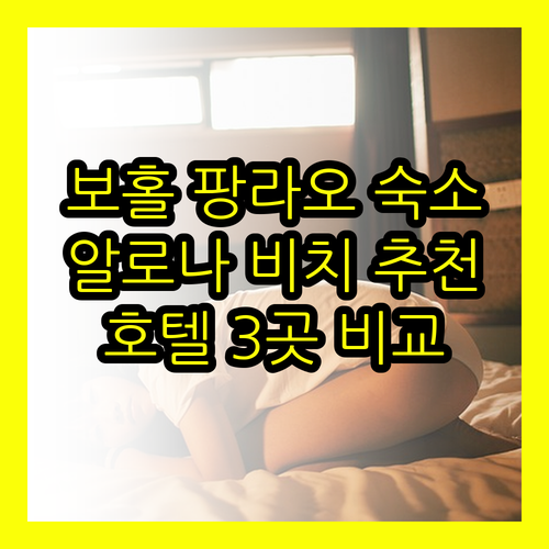 보홀 팡라오 숙소 고민 끝 알로나 비