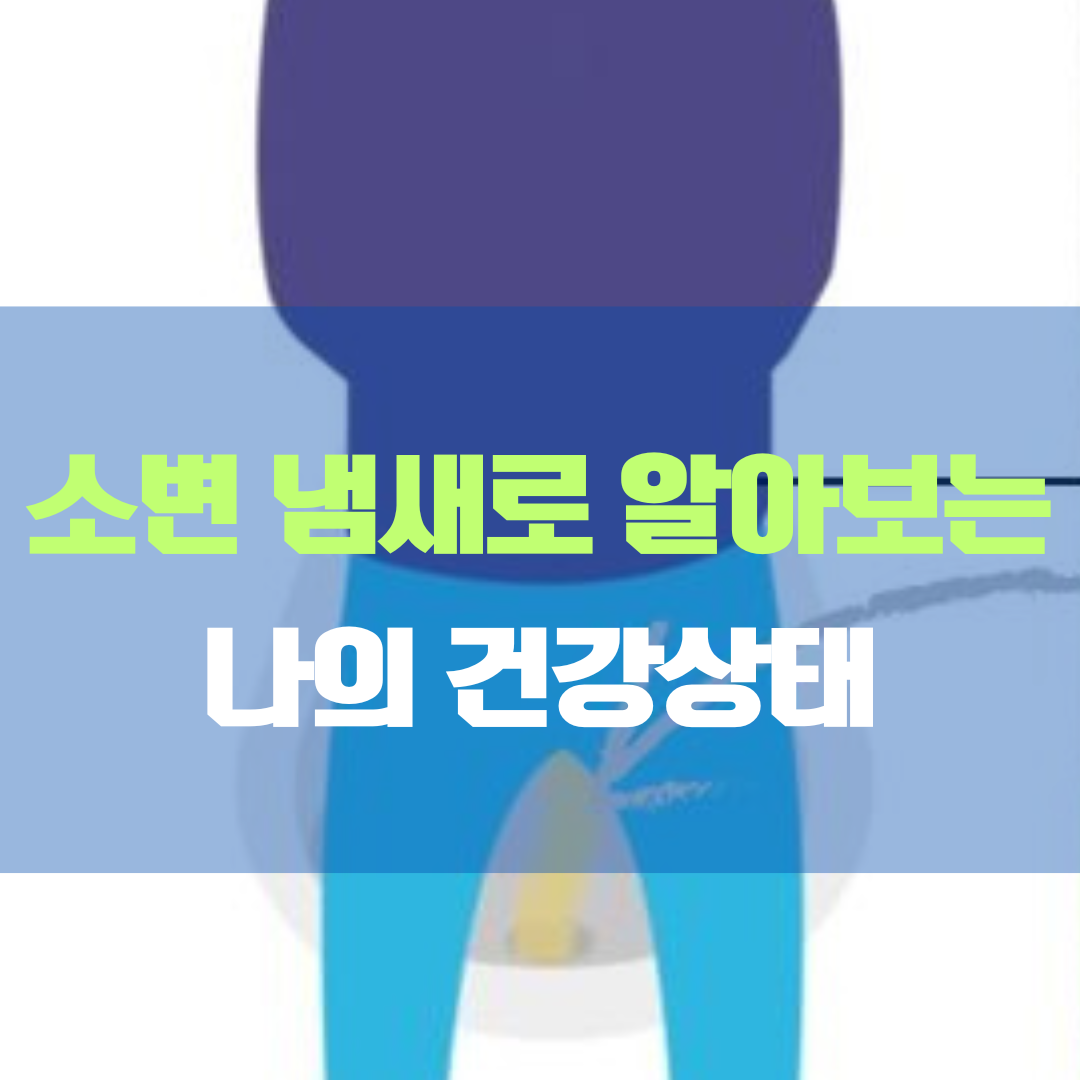 소변 냄새가 말하는 건강의 진실