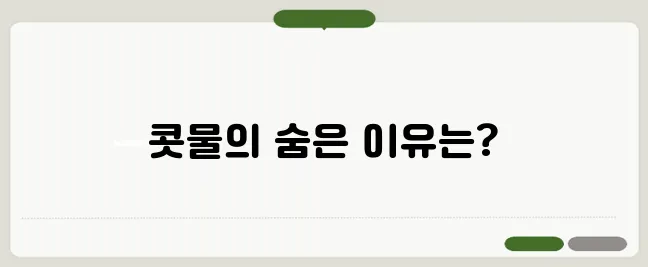 콧물이 계속 나는 이유 알레르기 때문일까?