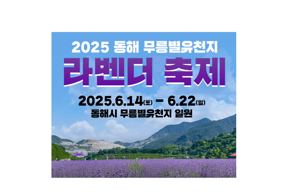 2025년 동해 무릉별유천지 라벤더 축제사진