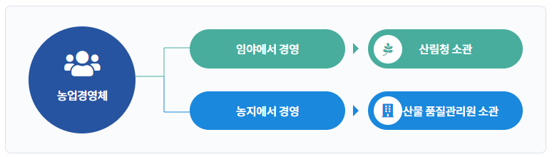 ์์
์ง๋ถ๊ธ ์ ์ฒญ