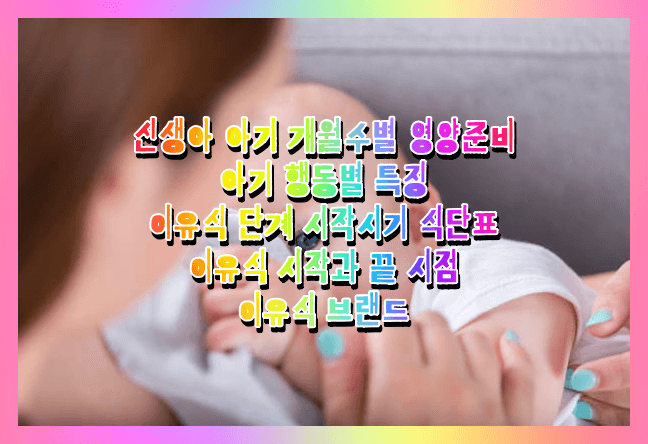 아기 개월수별 영양준비 이유식 식단표 브랜드