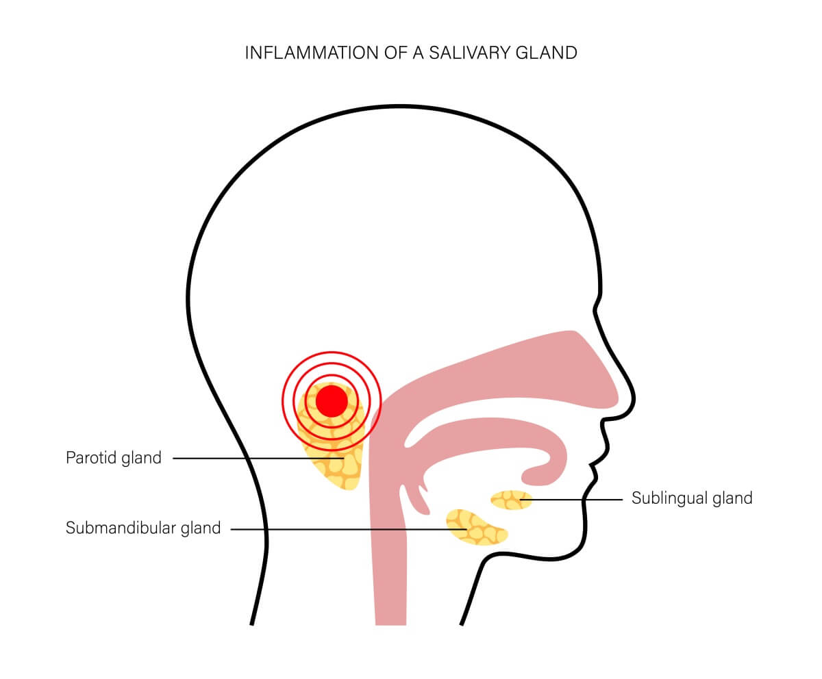 비인두가-위치한-구조