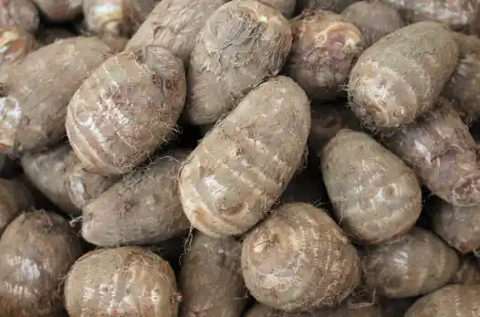 토란 효능 및 부작용&amp;#44; 먹을때 주의점