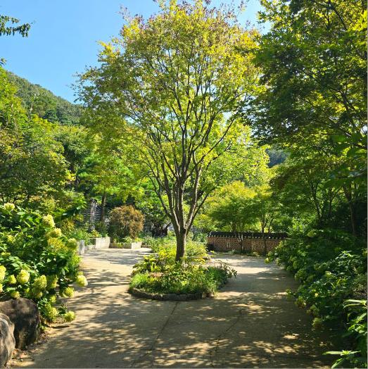 화담숲 가을 단풍 축제 홈페이지 예약 입장료 단풍 절정시기 모노레일 구간 요금2