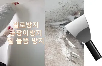 곰팡이 방지 제습 환기와 가구 띄우기 실내 온습도 관리_14