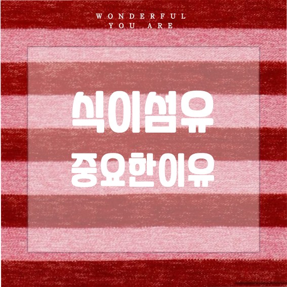 식이섬유가 중요한 이유와 식단 팁까지 정리