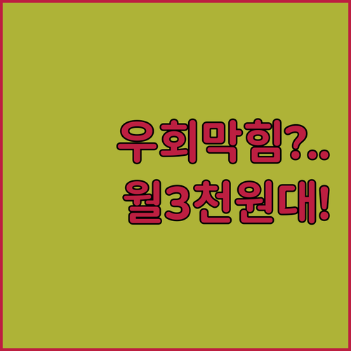 유튜브 프리미엄 우회 막혔을 때 월 ..