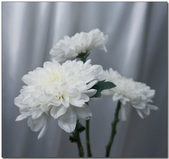 ํ์ ๊ตญํ ์ฌ๋ฌ์ก์ด