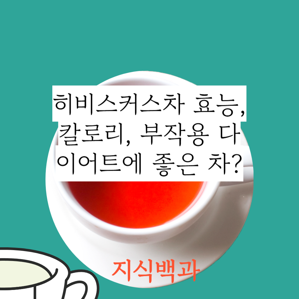 히비스커스차 효능, 칼로리, 부작용 다이어트에 좋은 차?