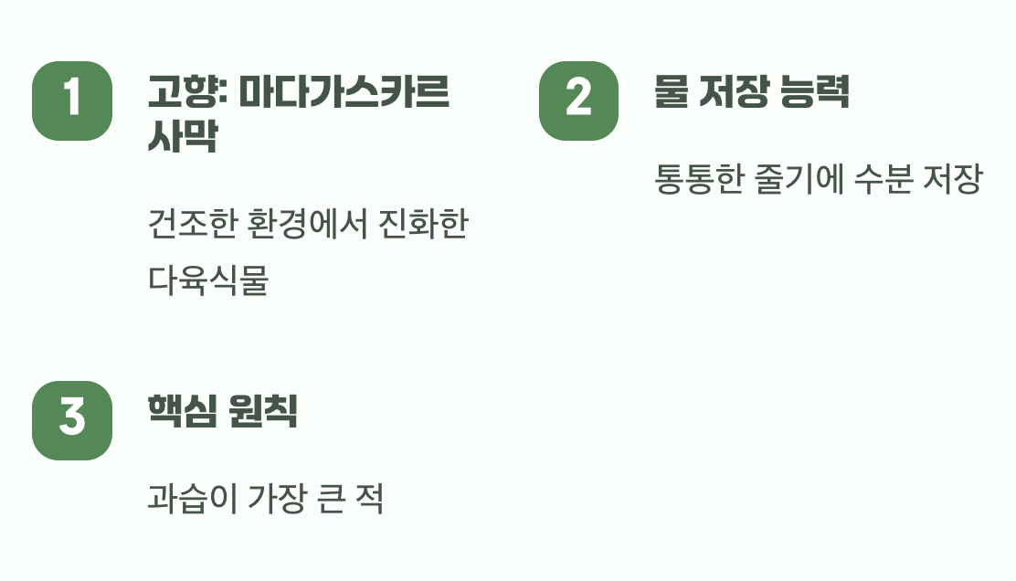 사막에서 온 기린을 기억하세요