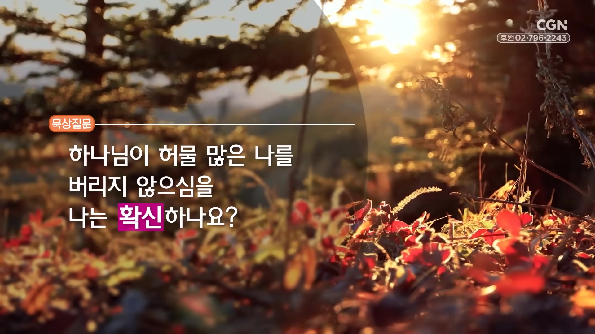 하나님이 허물 많은 나를 버리지 않으심을 나는 확신하나요?