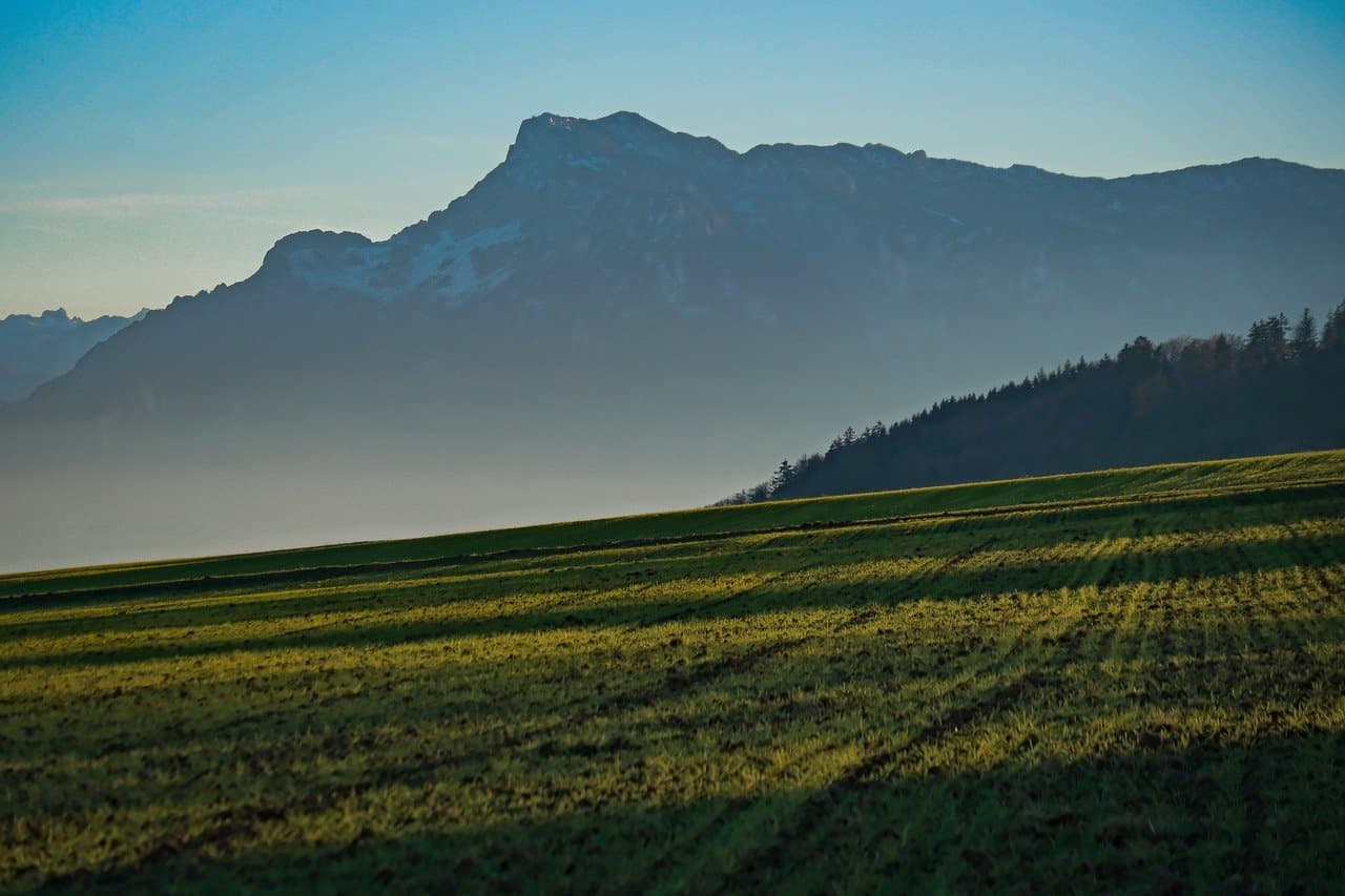 AI 챗봇이 중소기업에 꼭 필요한 이유 (비용 절감 + 매출 증가 효과)