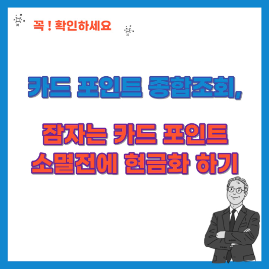 카드-포인트-종합조회-잠자는-카드-포인트-소멸전에-현금화-하기-섬네일