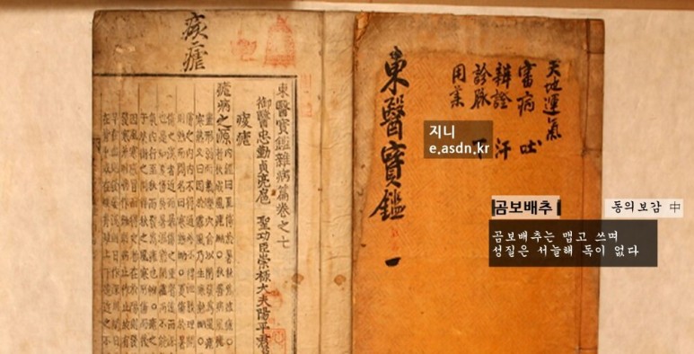 곰보배추 효능 9가지와 8가지 치료법 총정리