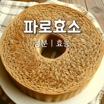 파로 효소 복용법 다섯 가지 방법과 식사와의 궁합_12