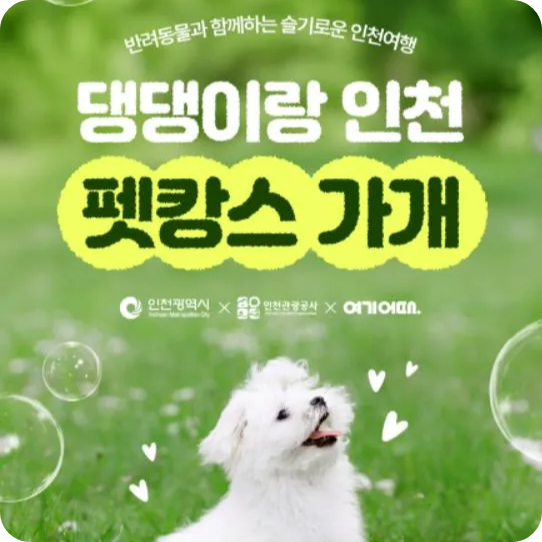 인천 반려견 강아지 동반 가능 호텔 펜션 숙박 여기어때 할인 상품 기획전