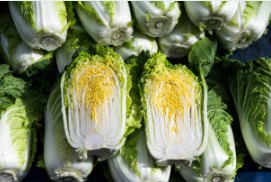 홈플러스 절임배추 예약