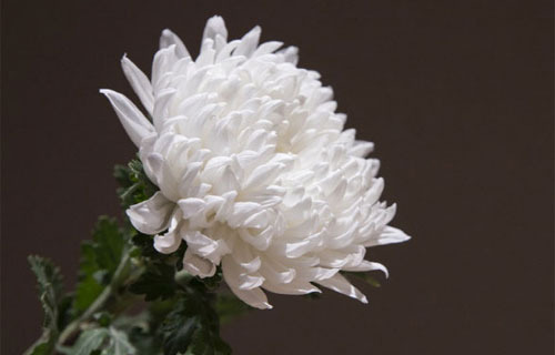 애즈원 이민 사망