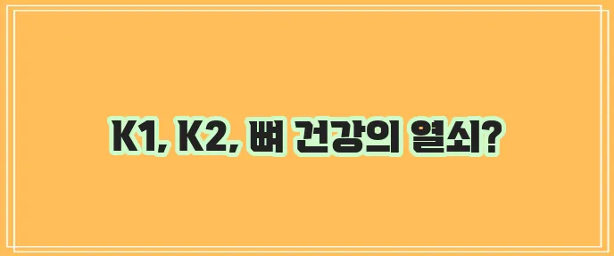 비타민K1 K2 효능과 함유식품 꼭 알아봐야겠죠?