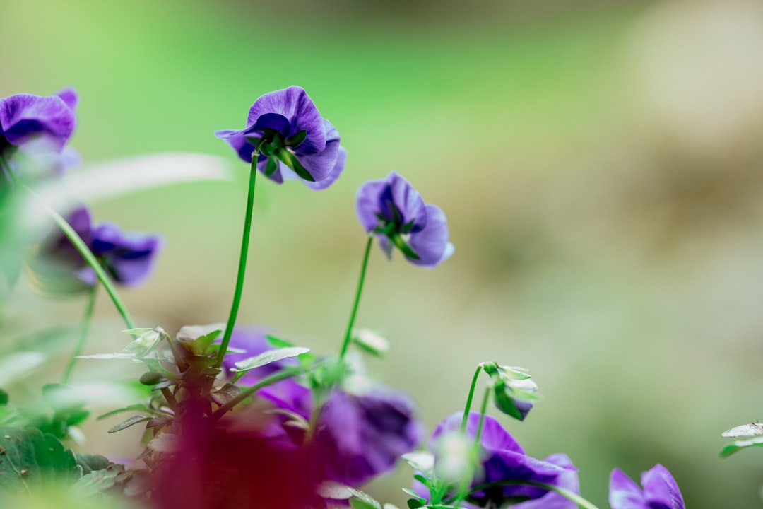 'irp bc'에서 가장 중요한 명사는 'response'입니다.