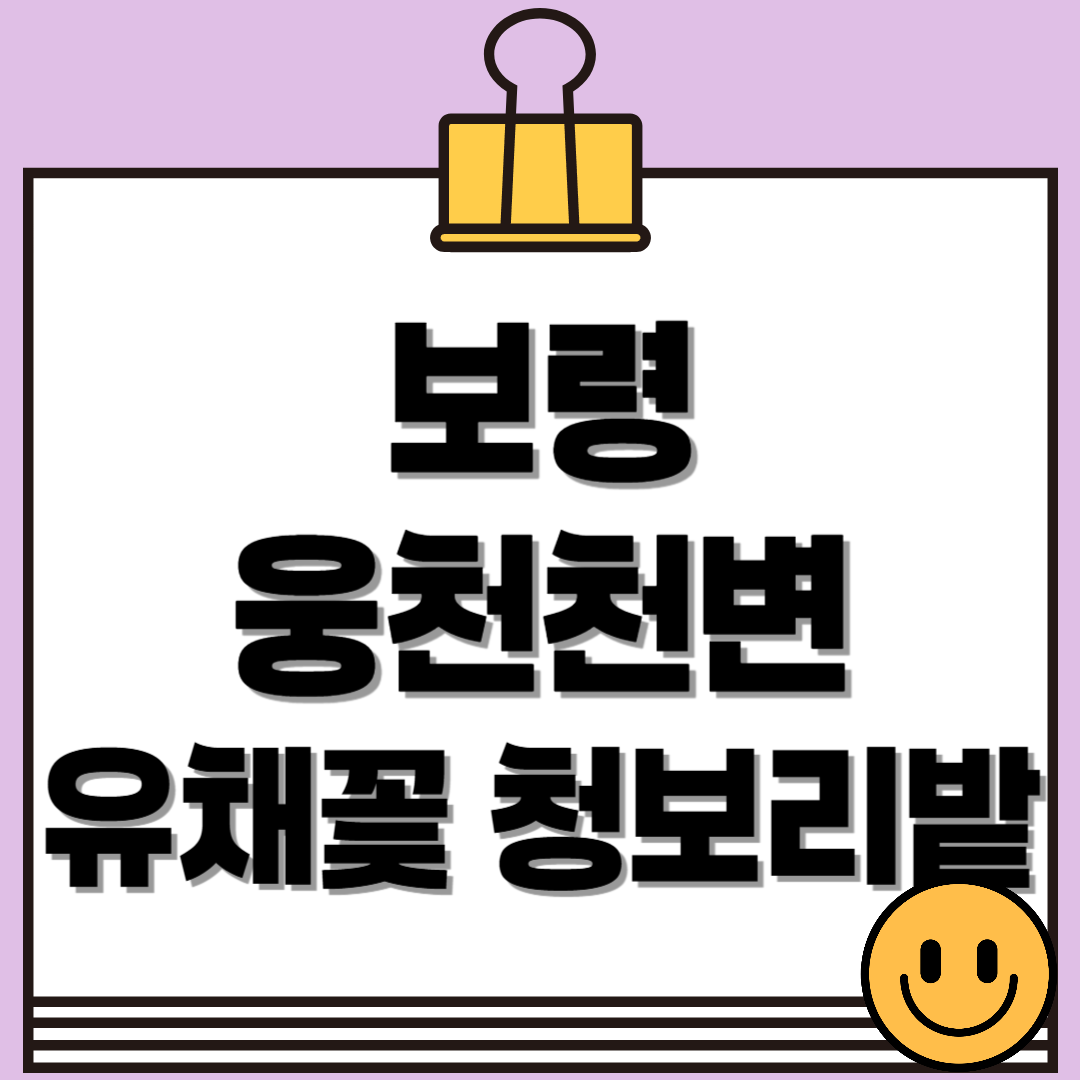 보령 웅천천변 유채꽃 청보리밭, 충남 보령의 숨겨진 봄 명소!