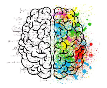 창의성의 뇌과학: 창의적인 사람들의 뇌는 다를까?