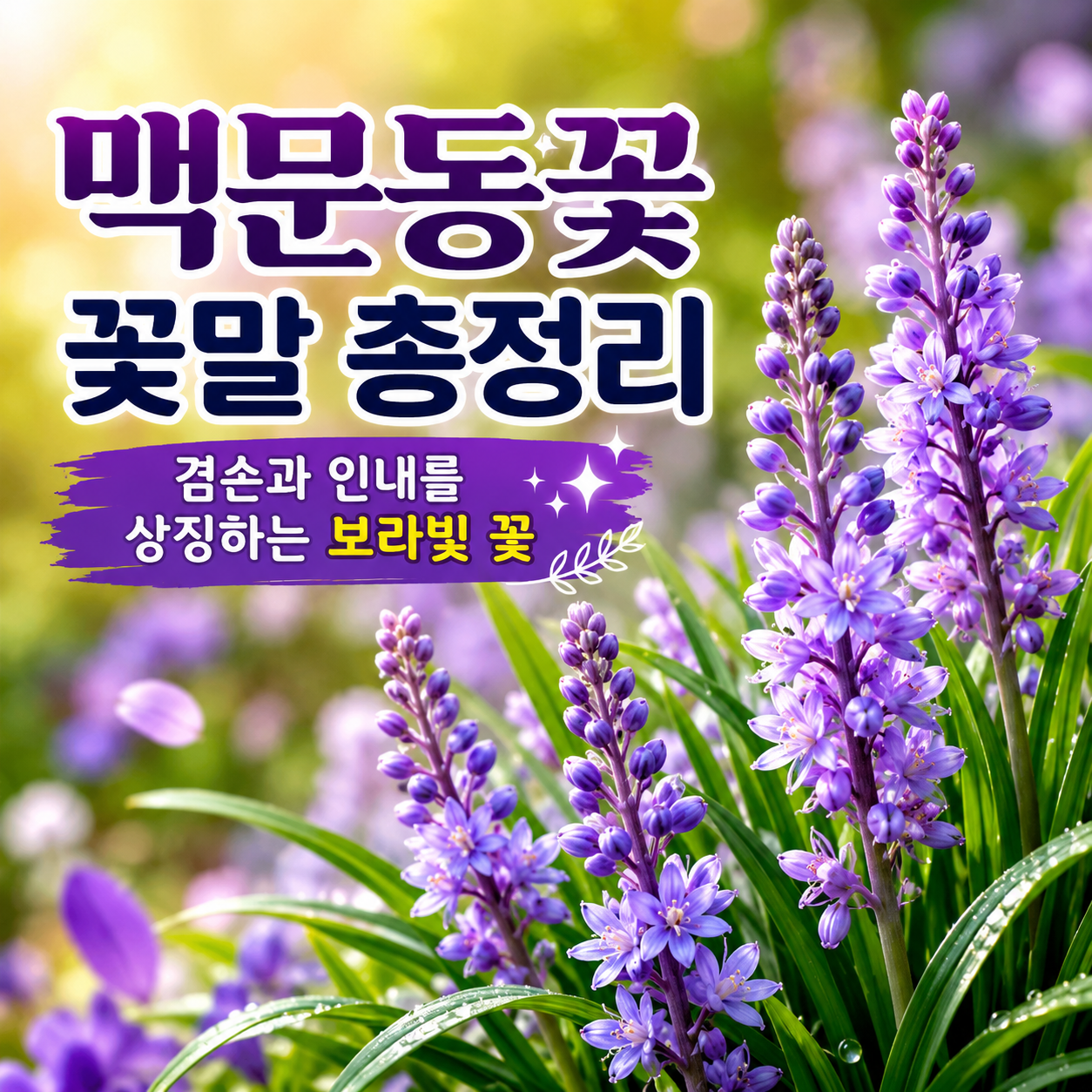 맥문동꽃 꽃말